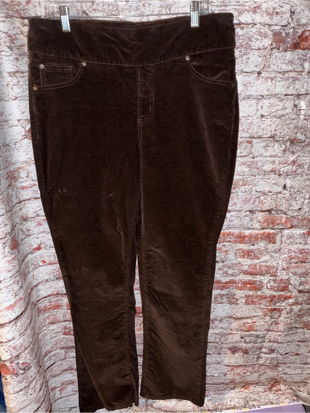 Chadwicks Deep Burgundy-Brown Corduroy Women’s Jeans